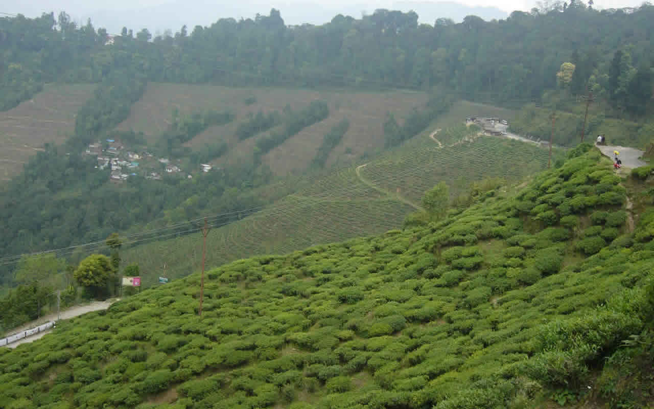 West Bengal