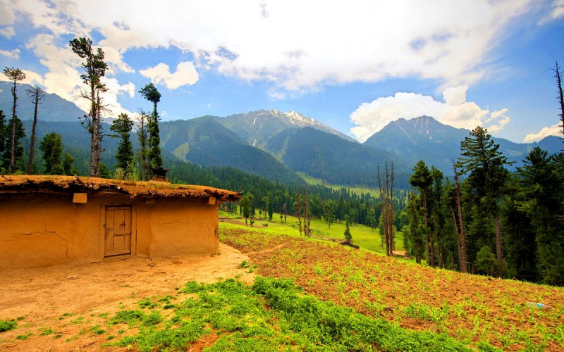 Jammu and Kashmir