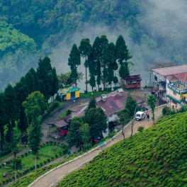 Darjeeling