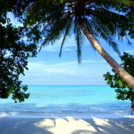 Havelock Island