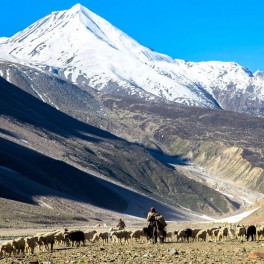 Himachal Himalayas