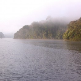 Periyar national Park