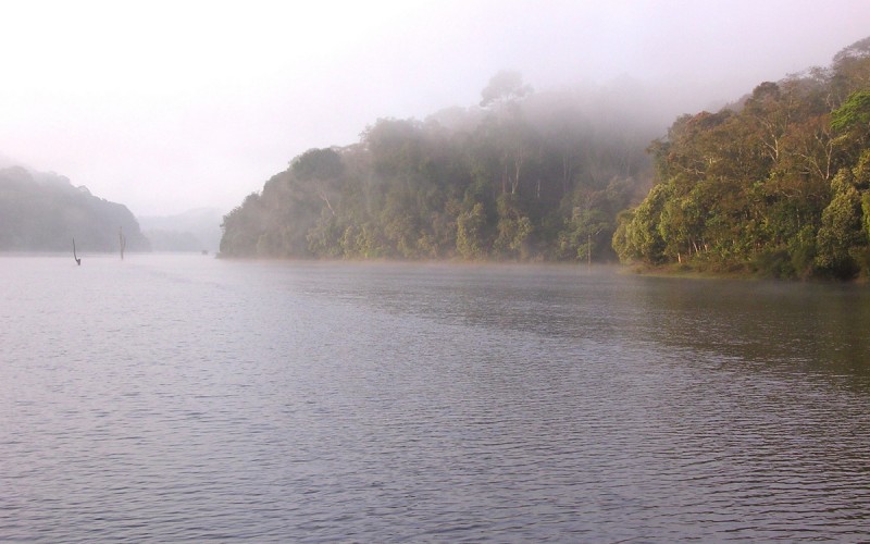 Periyar national Park