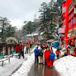 Shimla