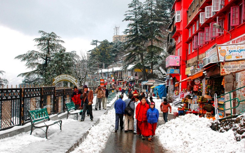 Shimla