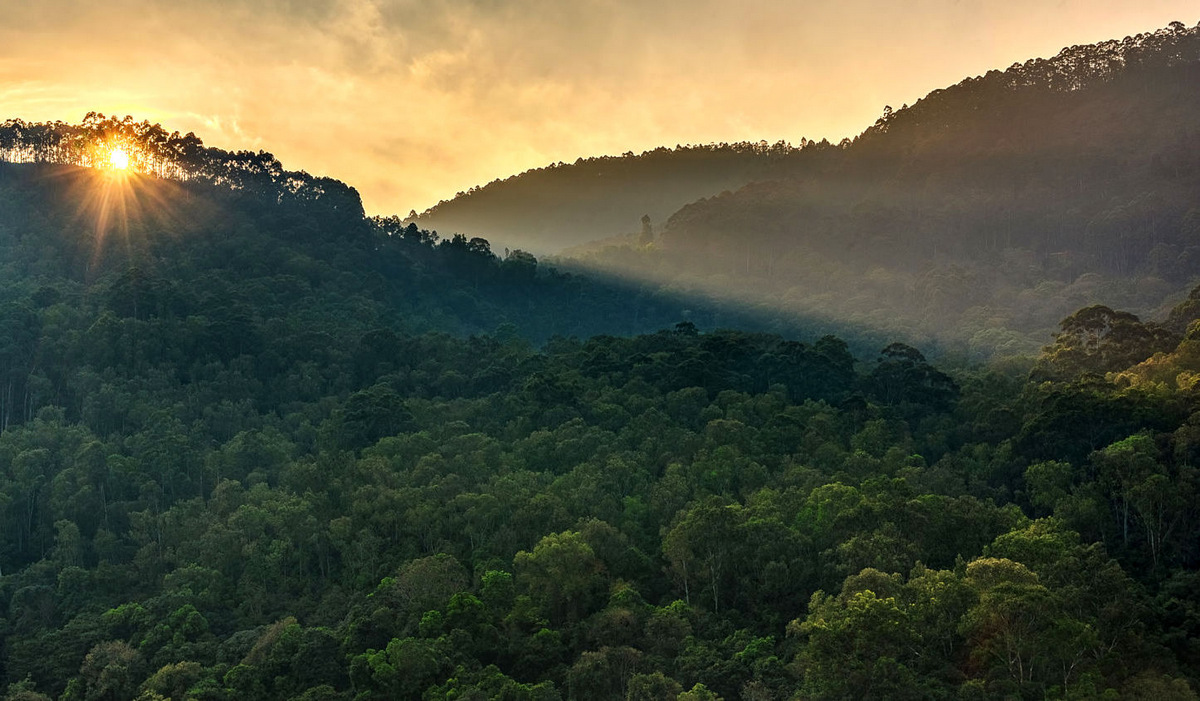 Karnataka